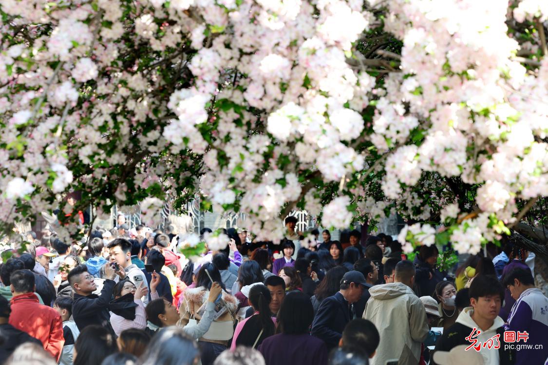 清明假期 各地开启“春日撒欢”模式