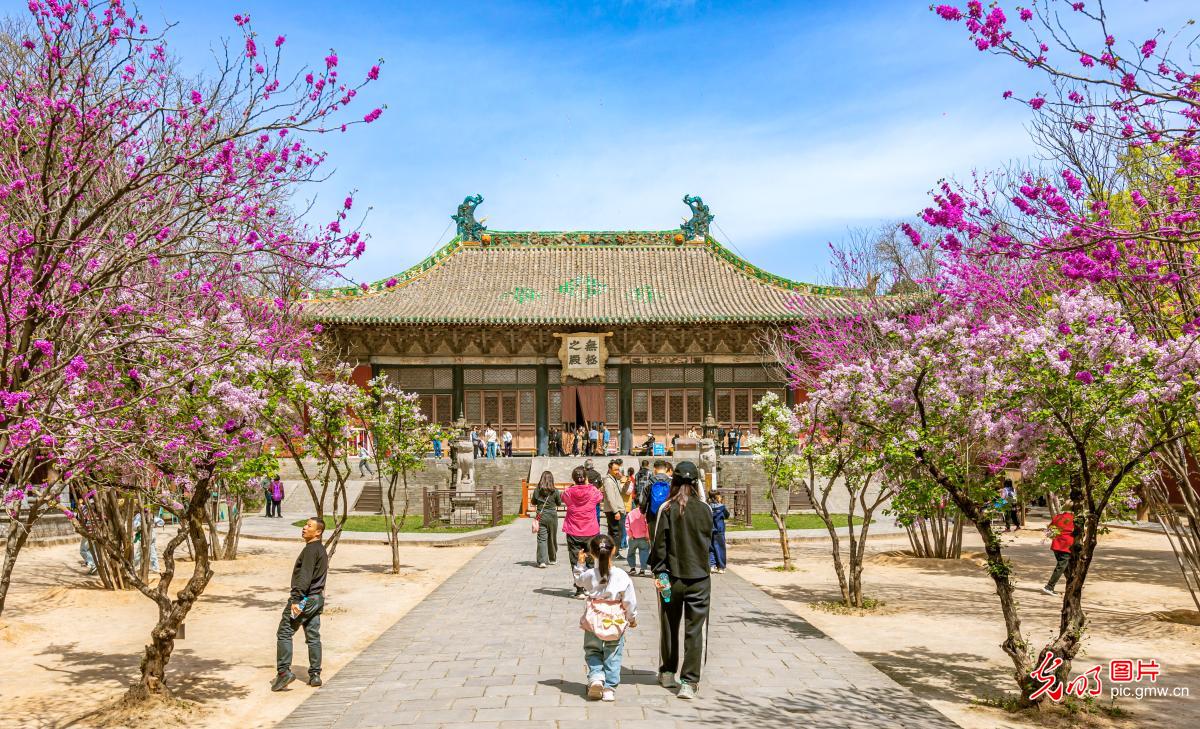 清明假期 各地开启“春日撒欢”模式