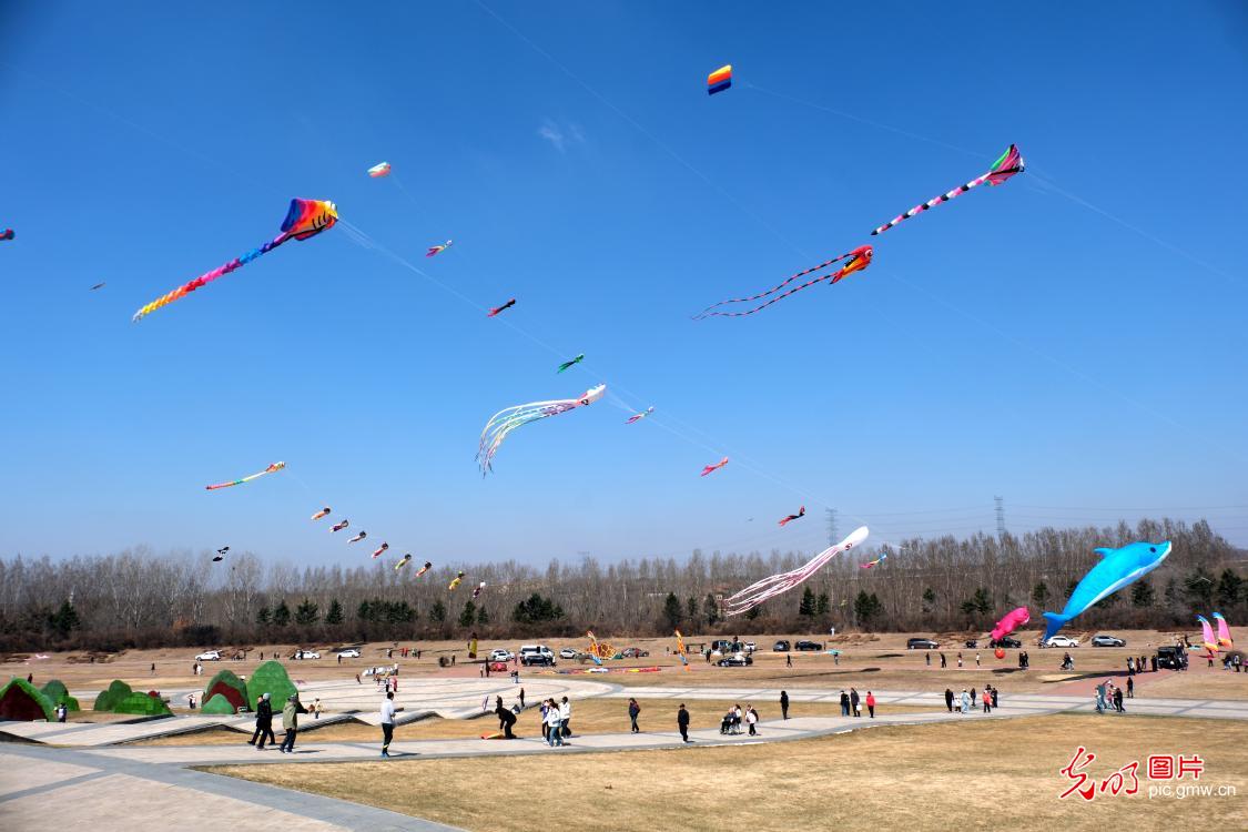 清明假期 各地开启“春日撒欢”模式