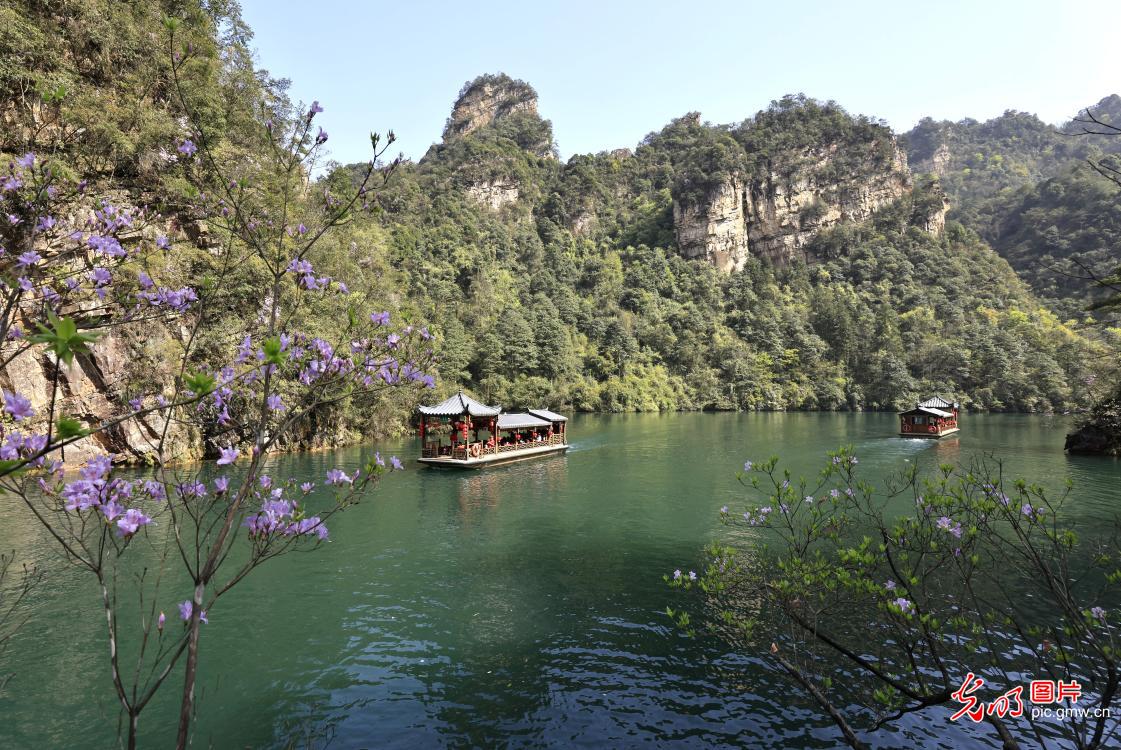 清明假期 各地开启“春日撒欢”模式