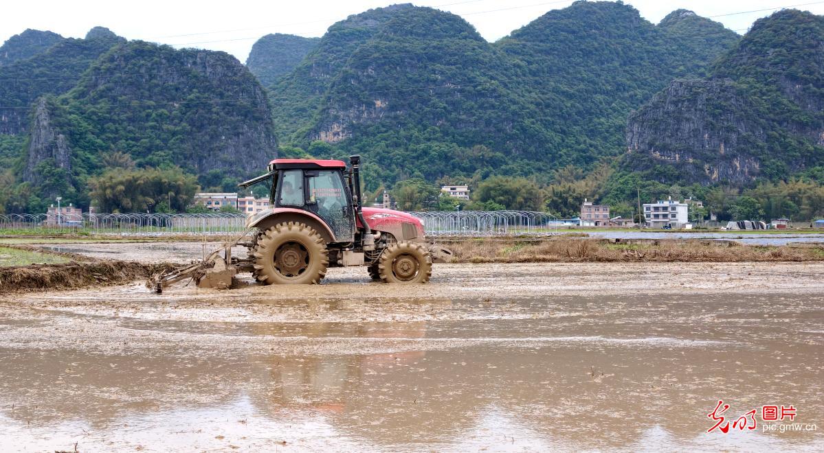 清明忙农事 沃野绘春耕
