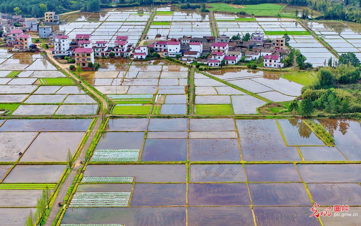 水润田畴 春色斑斓