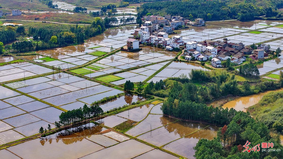 水润田畴 春色斑斓