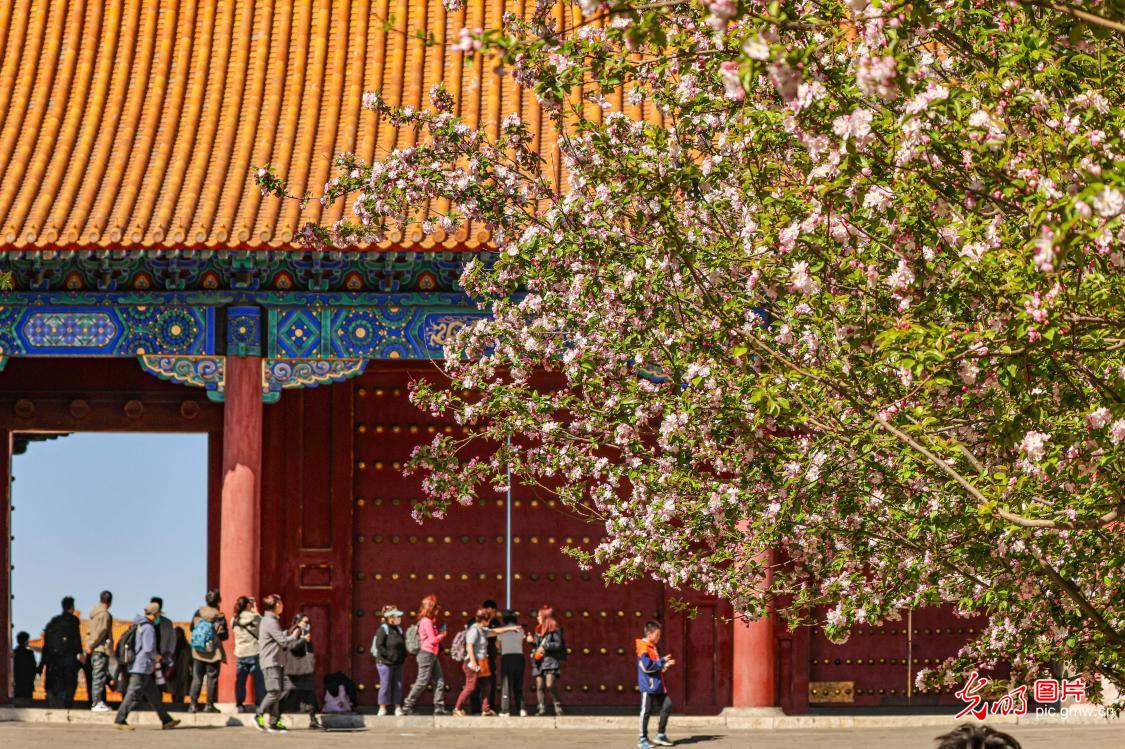 4月6日-4月12日光明图片一周见报作品精选 4月6日-4月12日光明图片一周见报作品精选