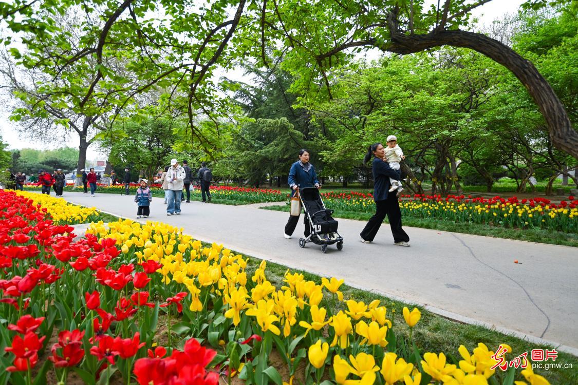 “郁”见春色 花开满园
