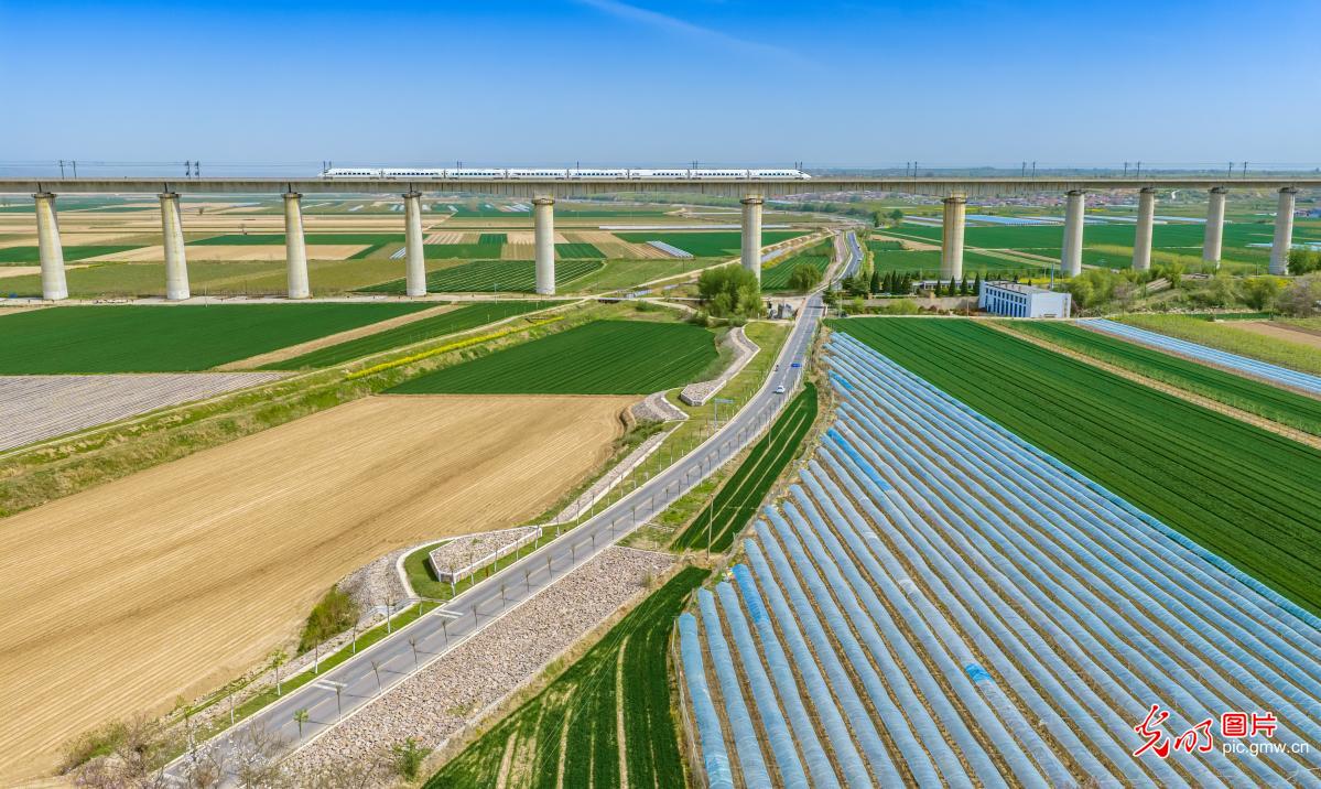 4月6日-4月12日光明图片一周见报作品精选