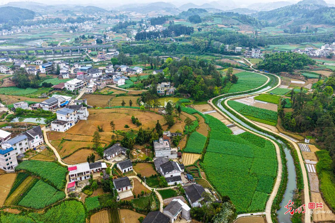 4月6日-4月12日光明图片一周见报作品精选 4月6日-4月12日光明图片一周见报作品精选