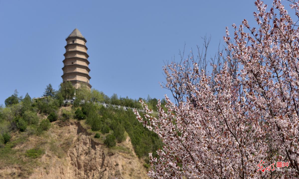 4月6日-4月12日光明图片一周见报作品精选 4月6日-4月12日光明图片一周见报作品精选