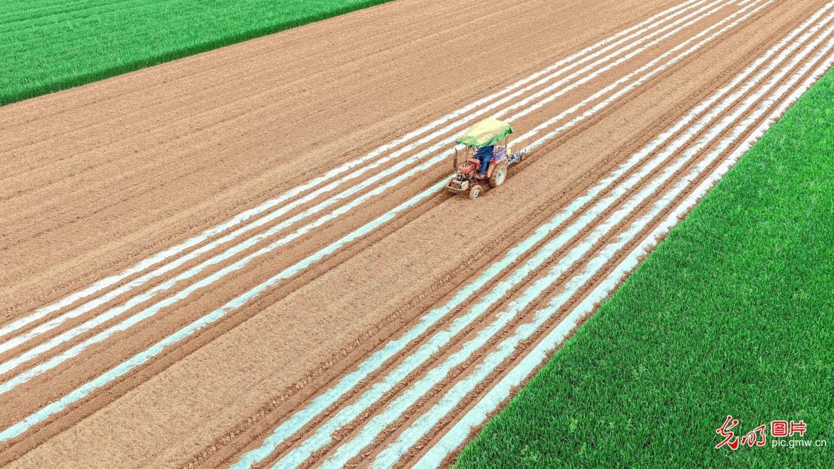 4月6日-4月12日光明图片一周见报作品精选 4月6日-4月12日光明图片一周见报作品精选