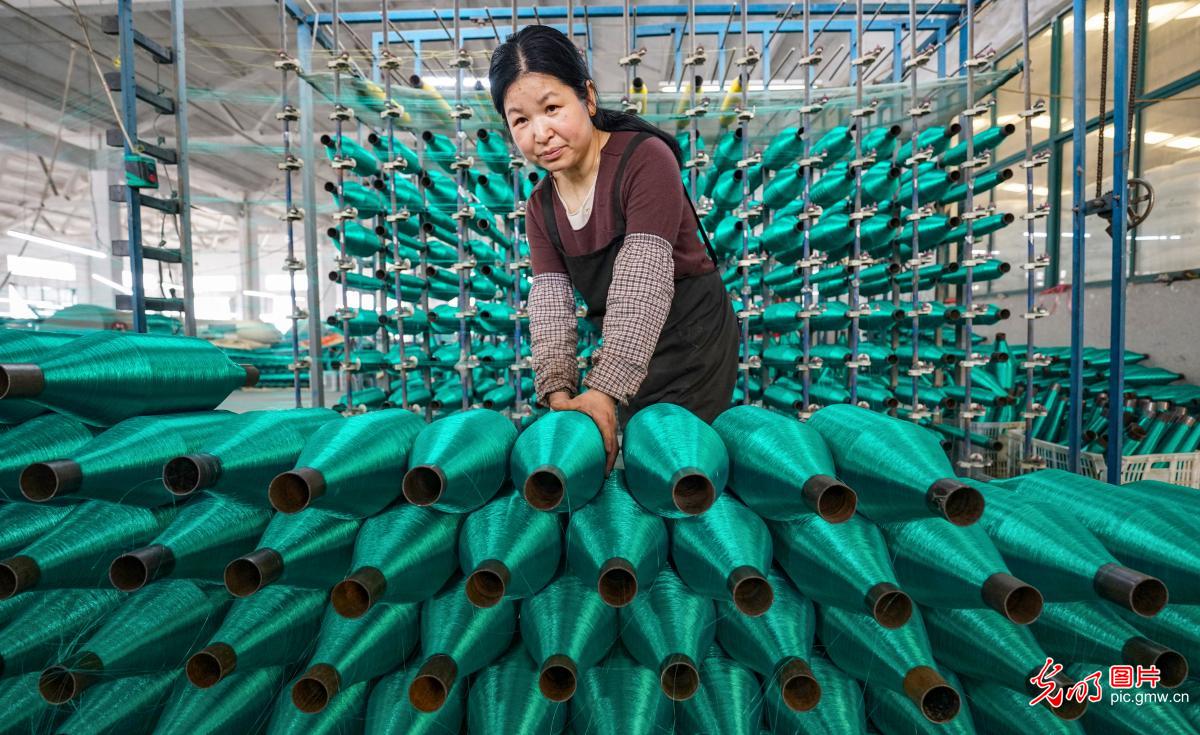 小渔网织就大产业