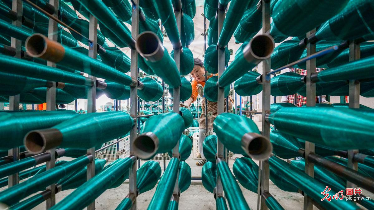 小渔网织就大产业