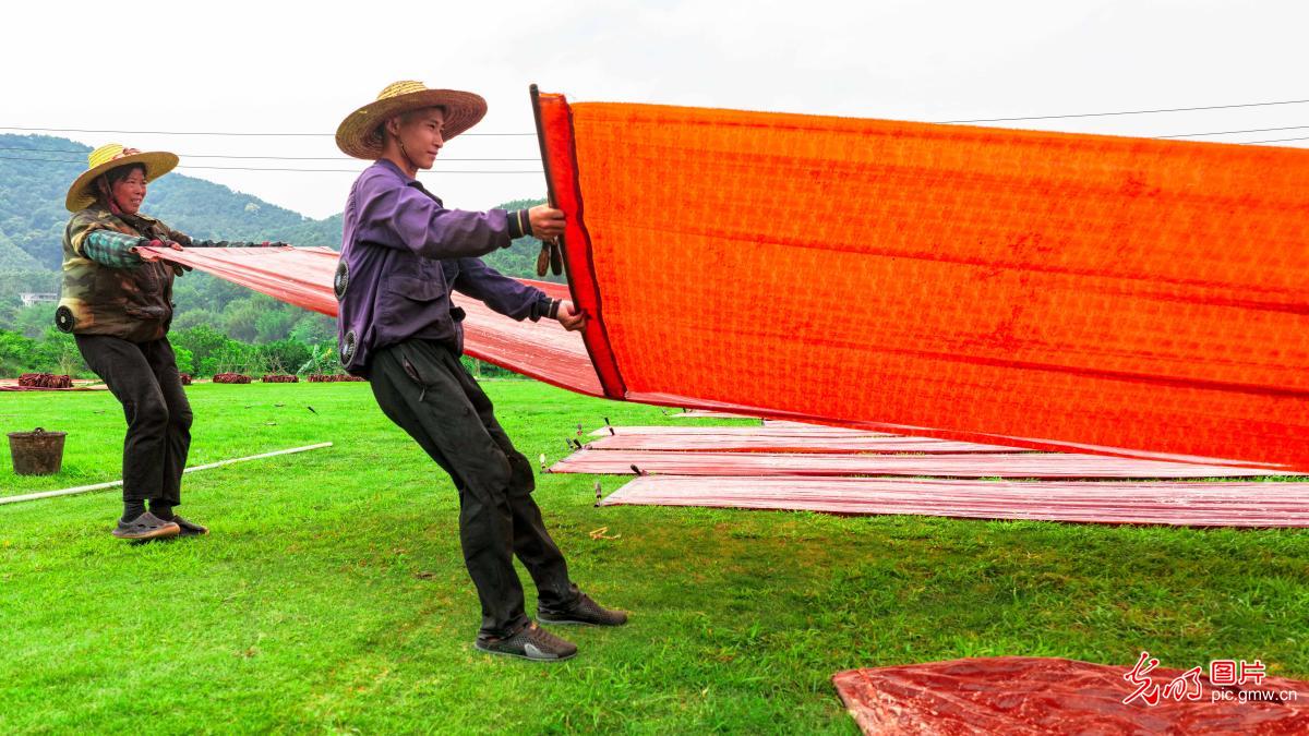 晾晒香云纱 非遗助增收