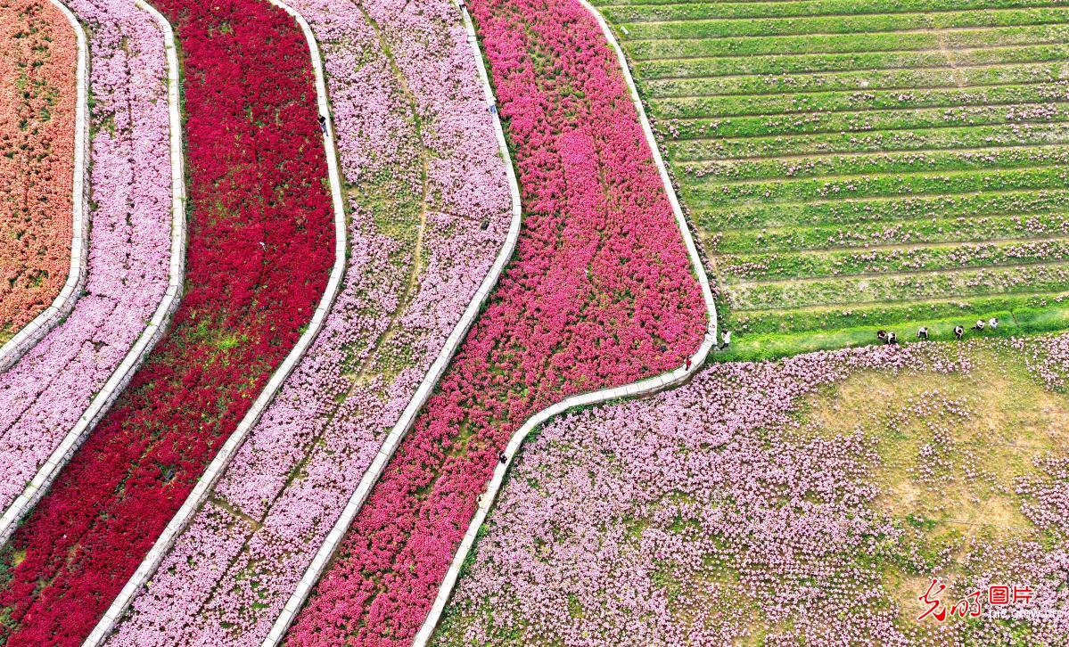 踏青赏花 乐享春光