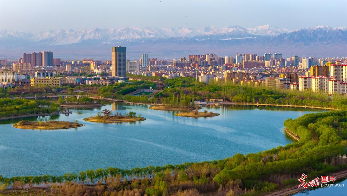 生态公园春意盎然