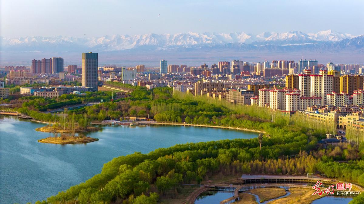 生态公园春意盎然