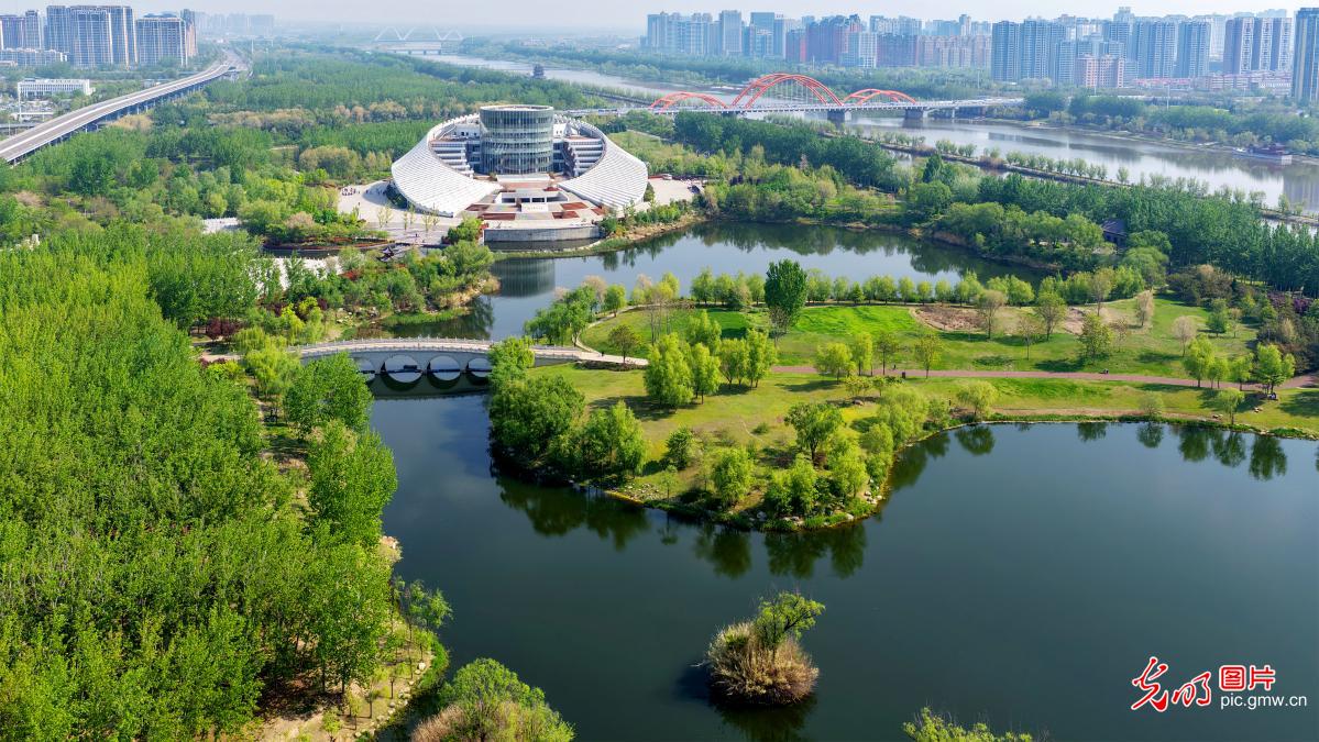 4月13日-4月19日光明图片一周见报作品精选