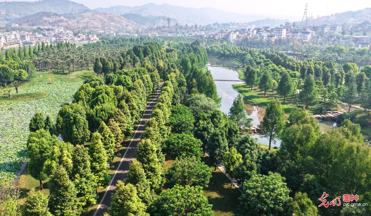 4月13日-4月19日光明图片一周见报作品精选