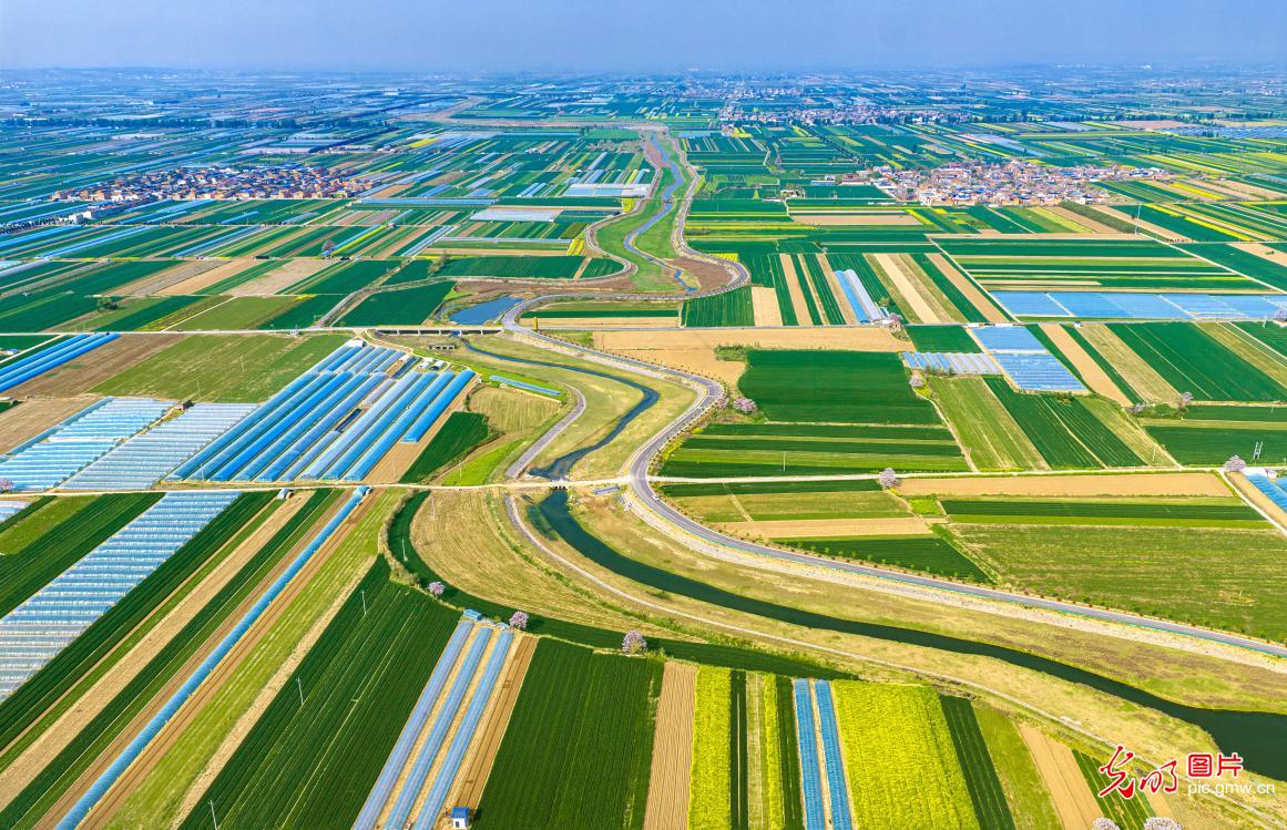 4月13日-4月19日光明图片一周见报作品精选