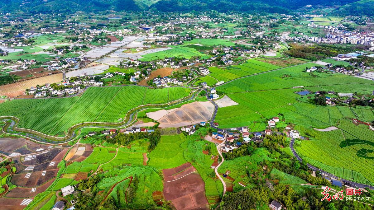 4月13日-4月19日光明图片一周见报作品精选