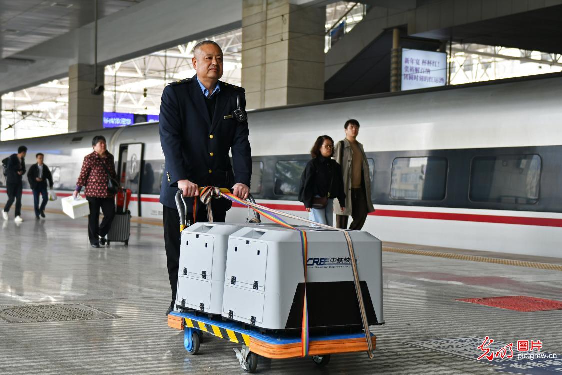 “爱宠行”护航宠物出行