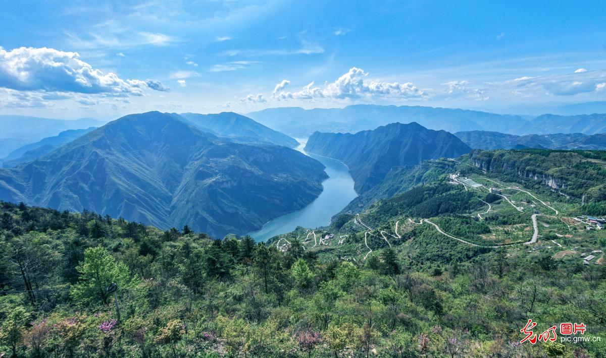 巫峡两岸春意盎然