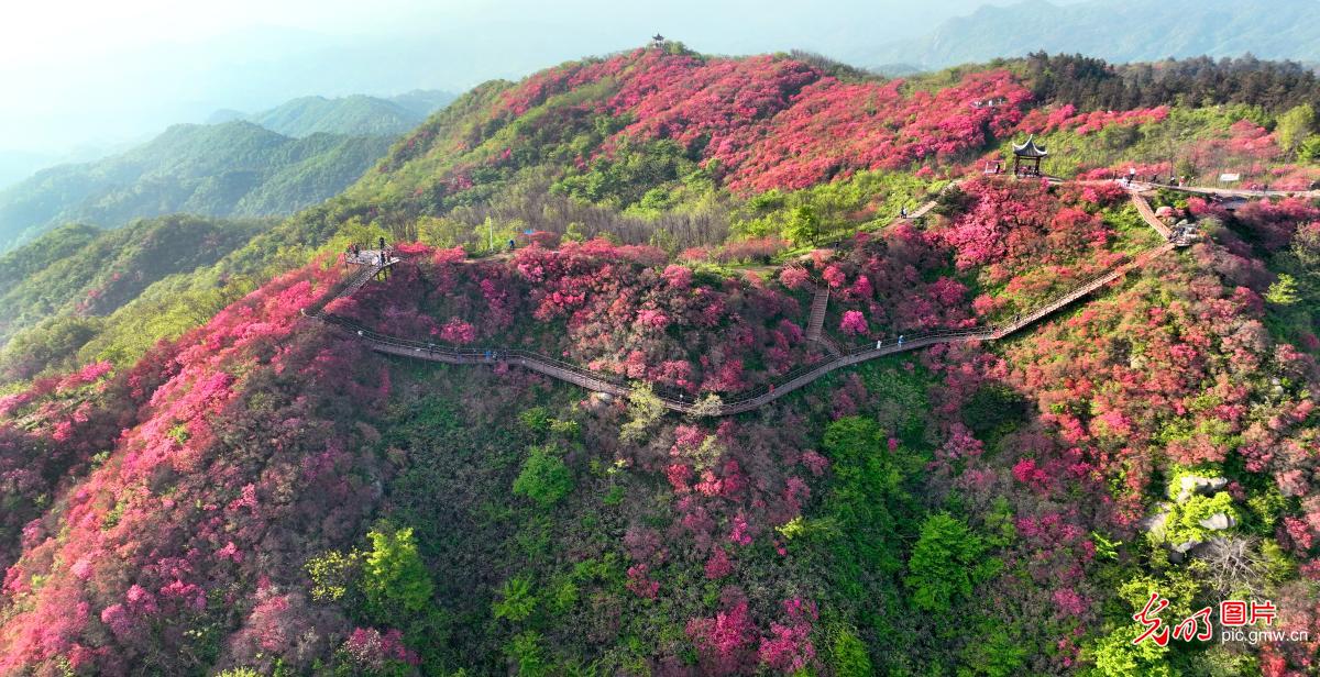 生态美景助力乡村振兴
