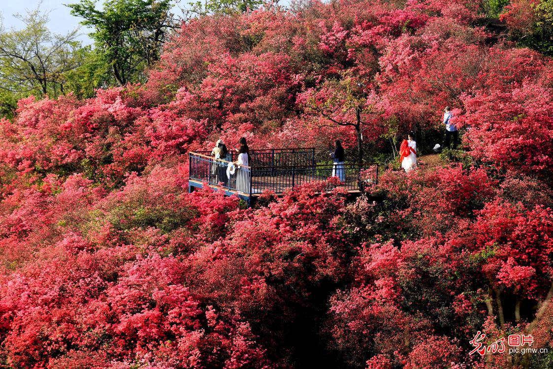生态美景助力乡村振兴