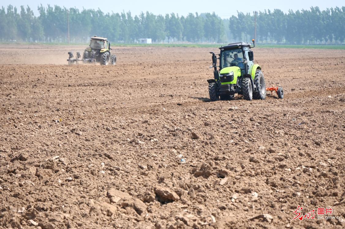 谷雨将至春光好 阡陌耕耘正当时