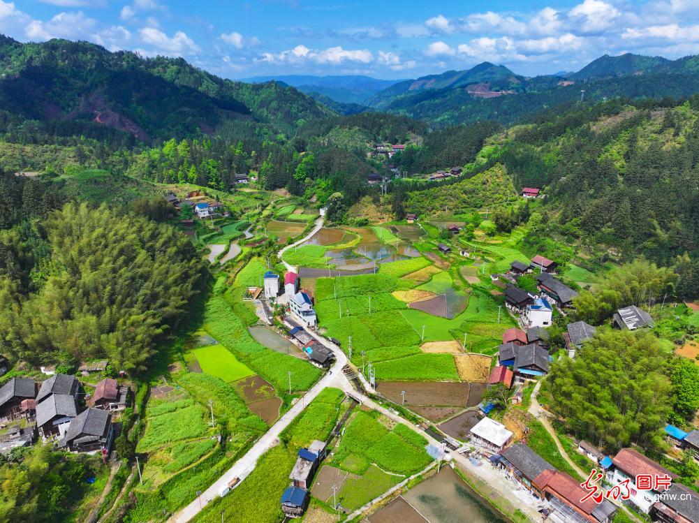 4月13日-4月19日光明图片一周见报作品精选