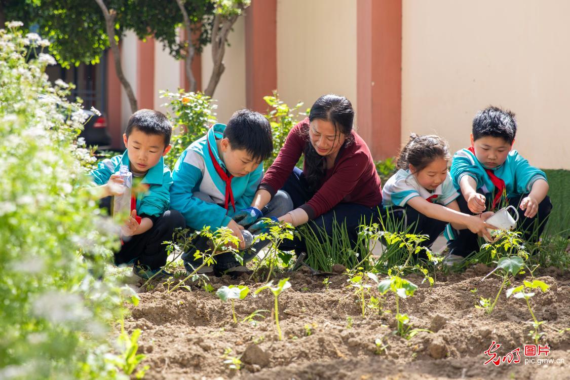 谷雨时节话传承 万象更新展新姿