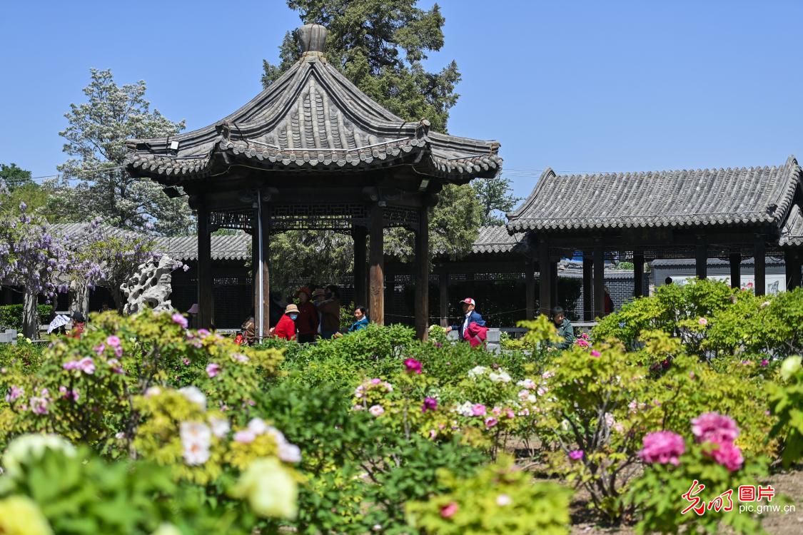 谷雨时节话传承 万象更新展新姿