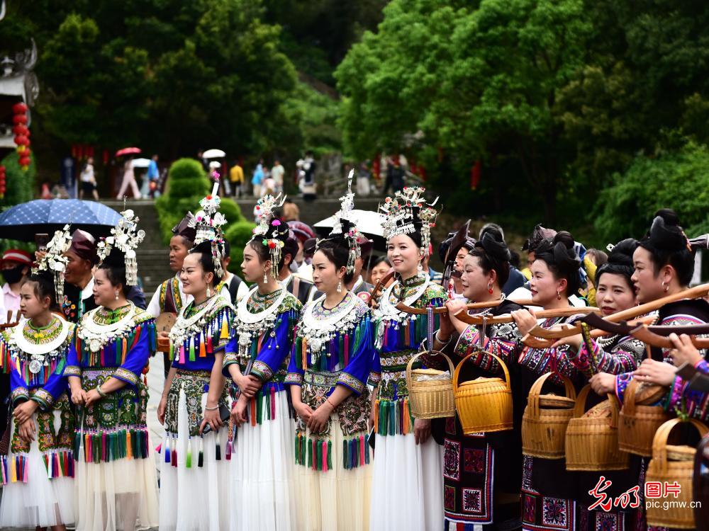 谷雨时节话传承 万象更新展新姿