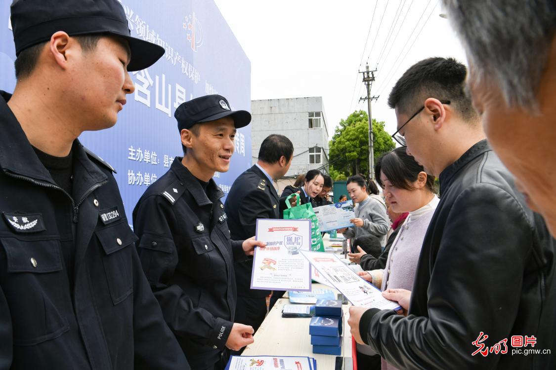 筑牢知识产权安全防线