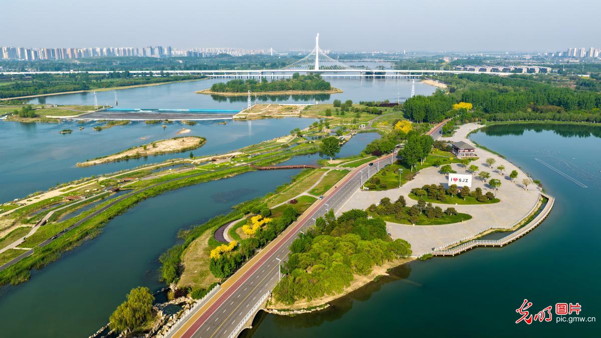 春日滹沱河景如画