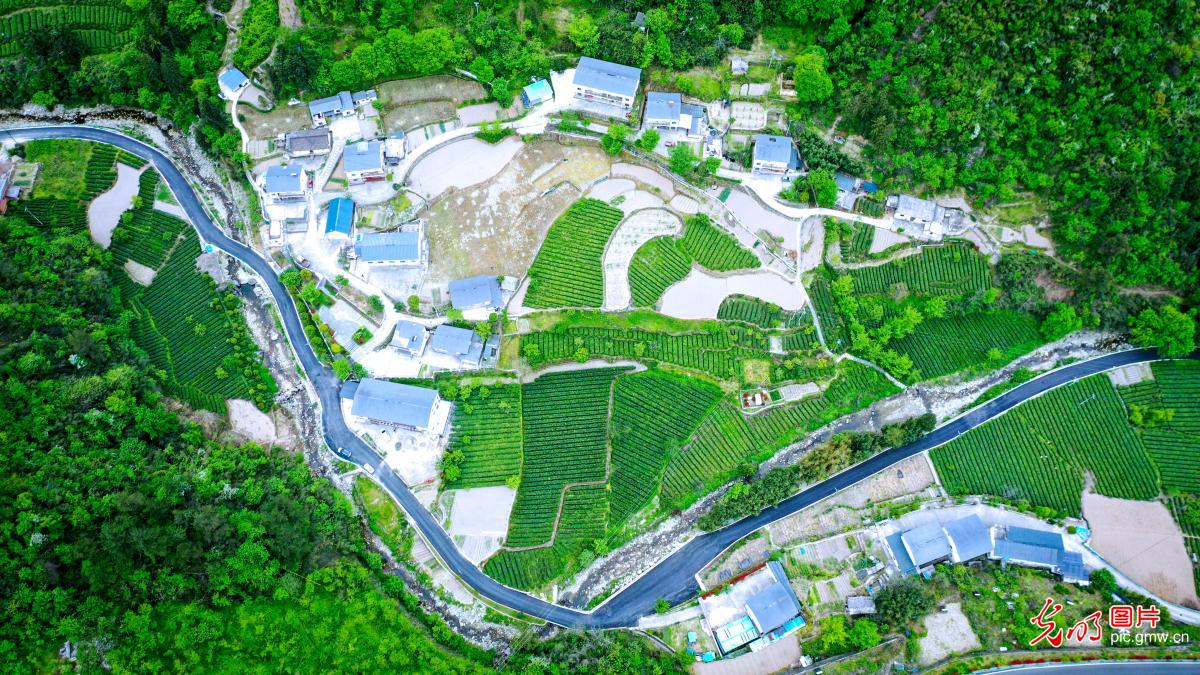 4月20日-4月26日光明图片一周见报作品精选