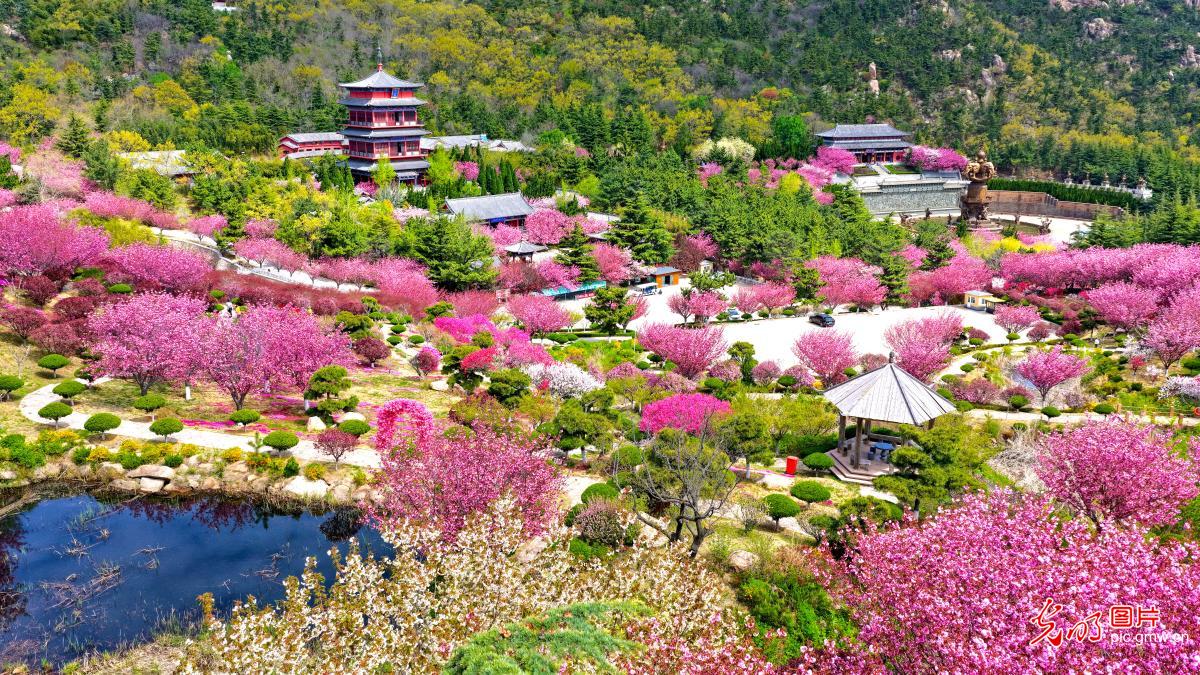 4月20日-4月26日光明图片一周见报作品精选