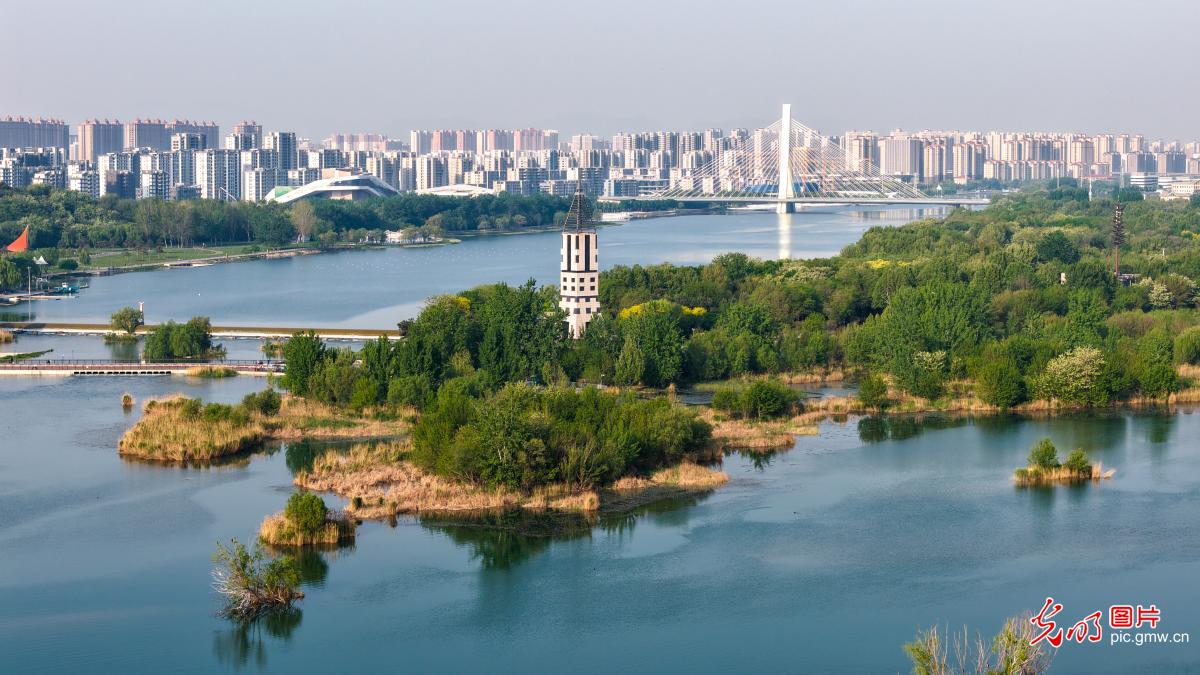 4月20日-4月26日光明图片一周见报作品精选