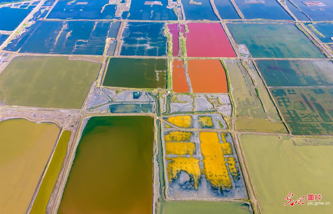 多彩盐湖入画来