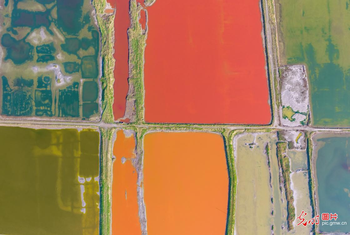 多彩盐湖入画来