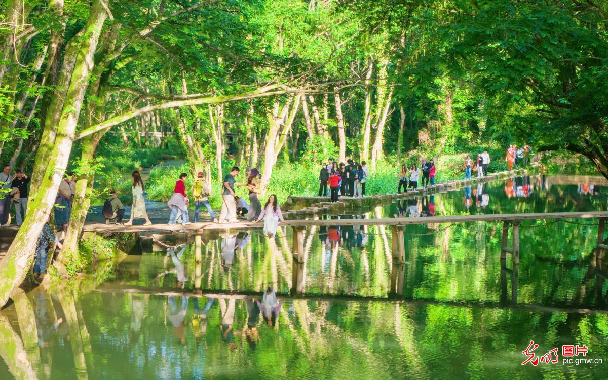 绿野仙踪西溪南