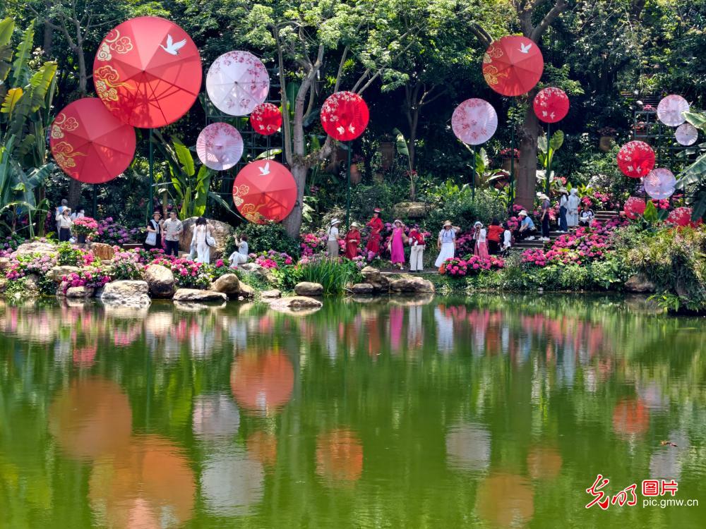 踏春赏花乐游人