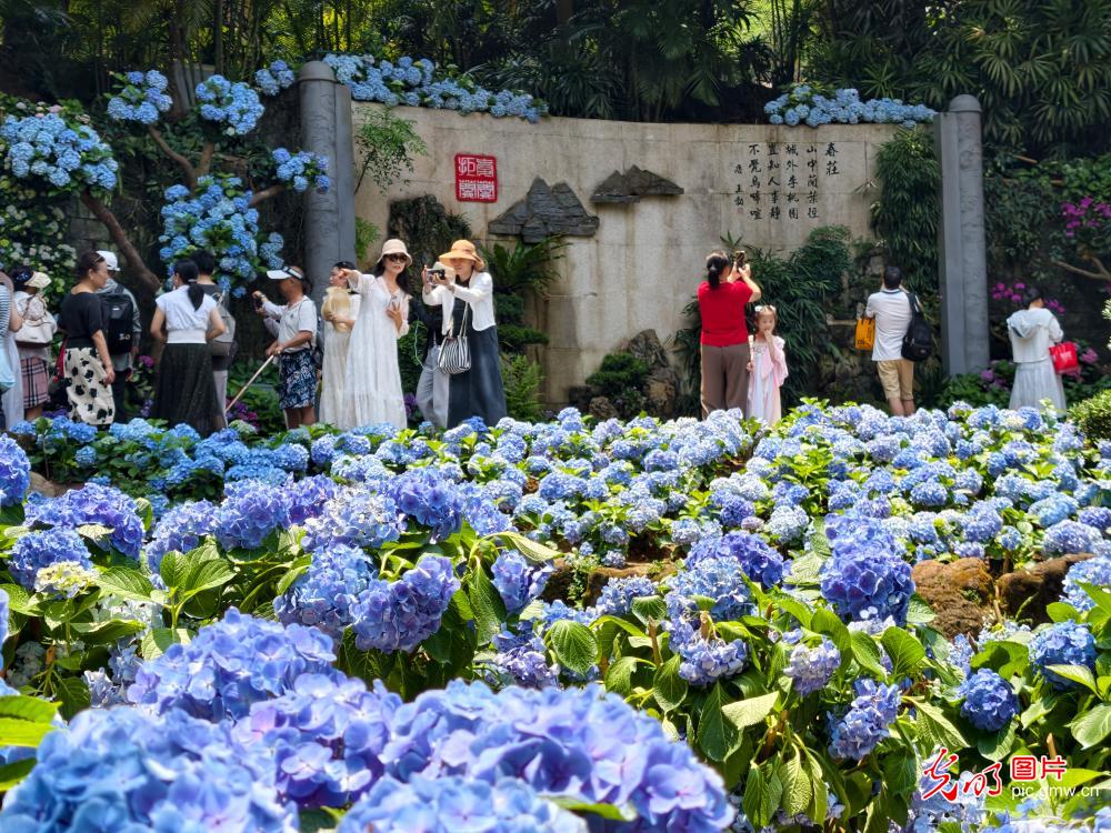 踏春赏花乐游人