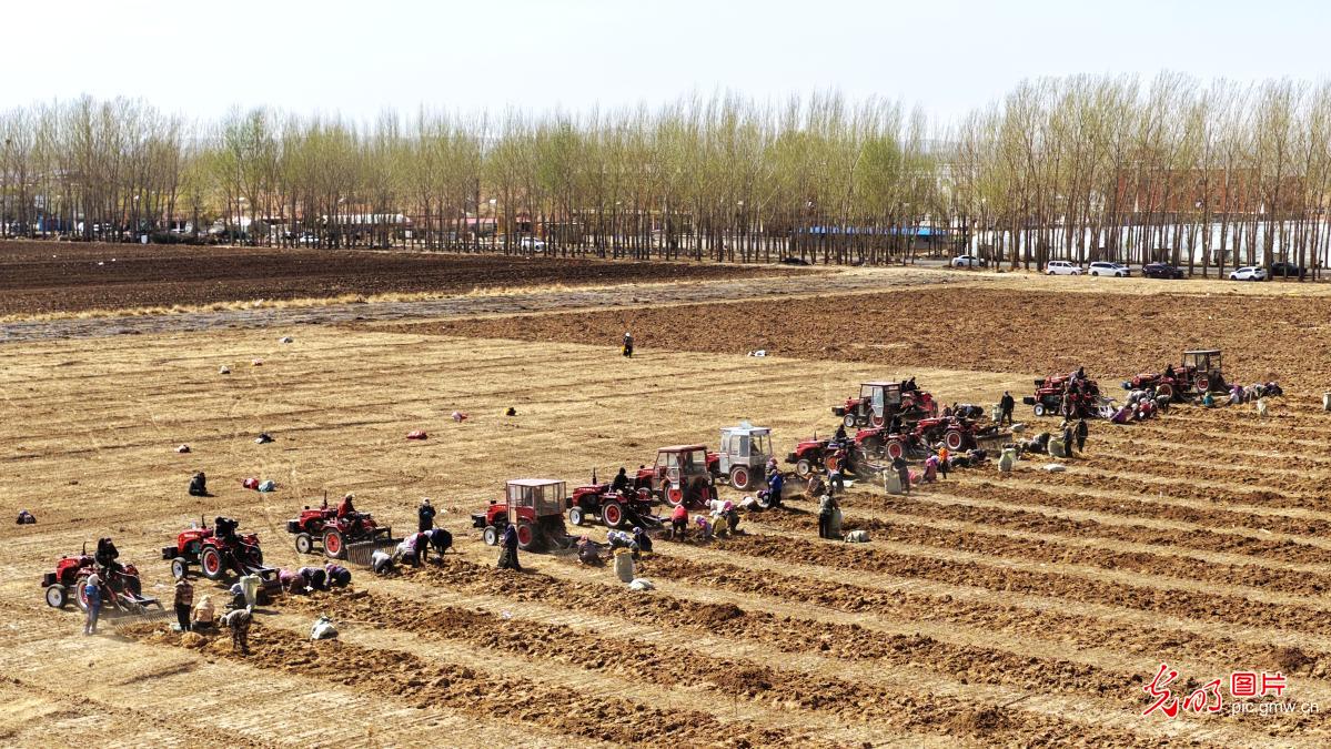 4月20日-4月26日光明图片一周见报作品精选