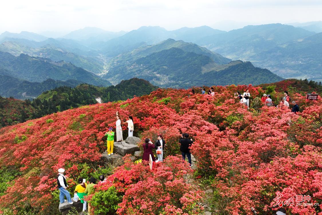 4月20日-4月26日光明图片一周见报作品精选