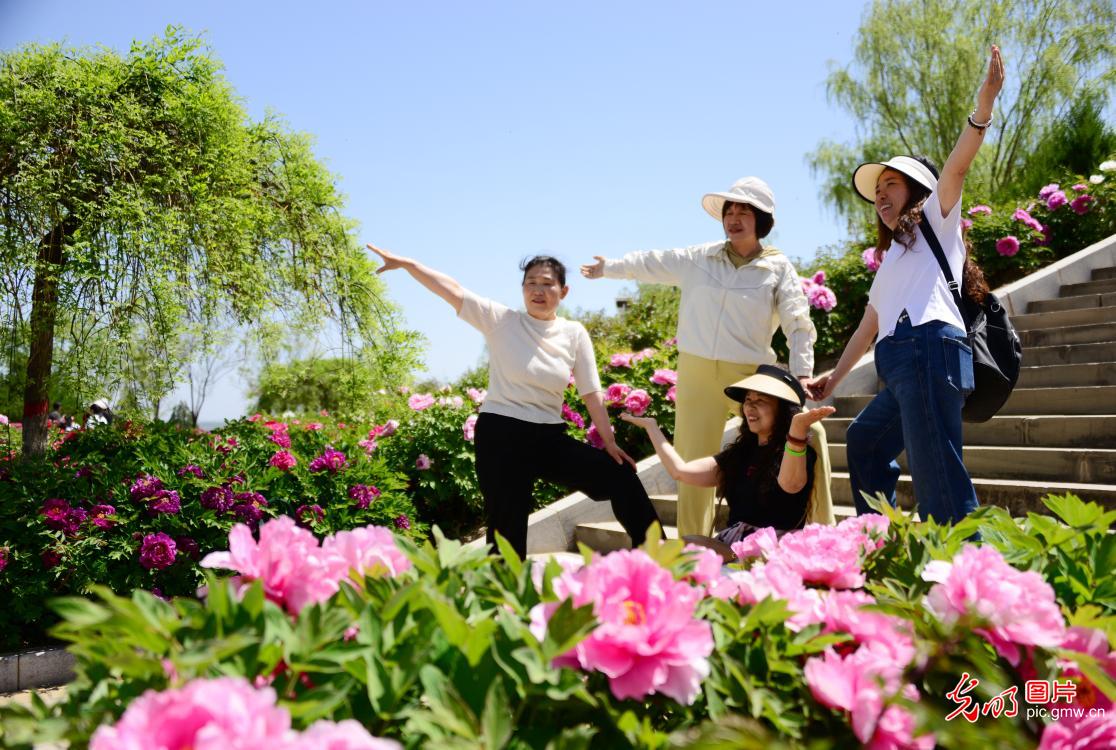繁花催热春日文旅 赏花经济焕发活力