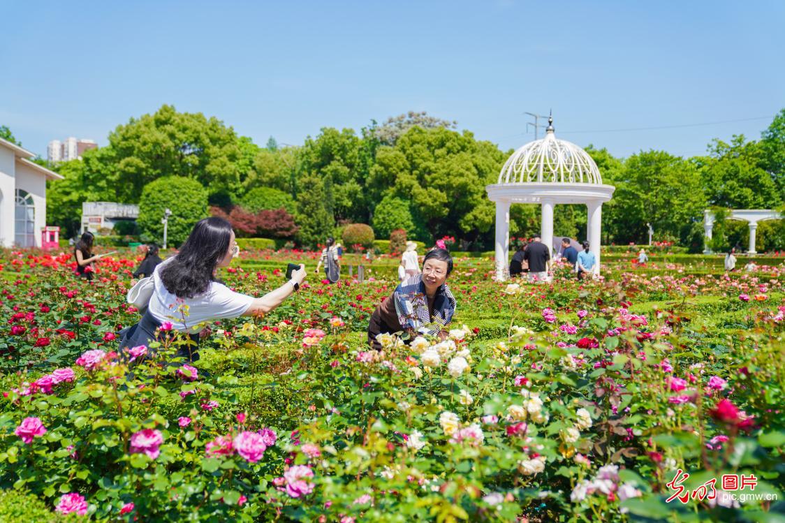 繁花催热春日文旅 赏花经济焕发活力