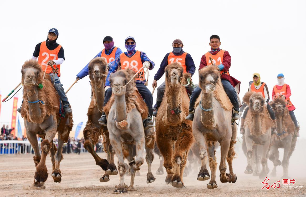 戈壁大漠上的文旅盛会