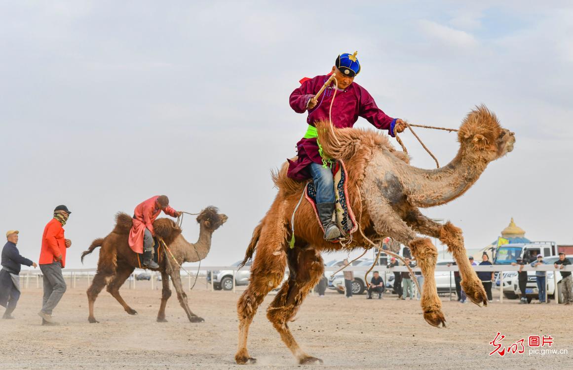 戈壁大漠上的文旅盛会