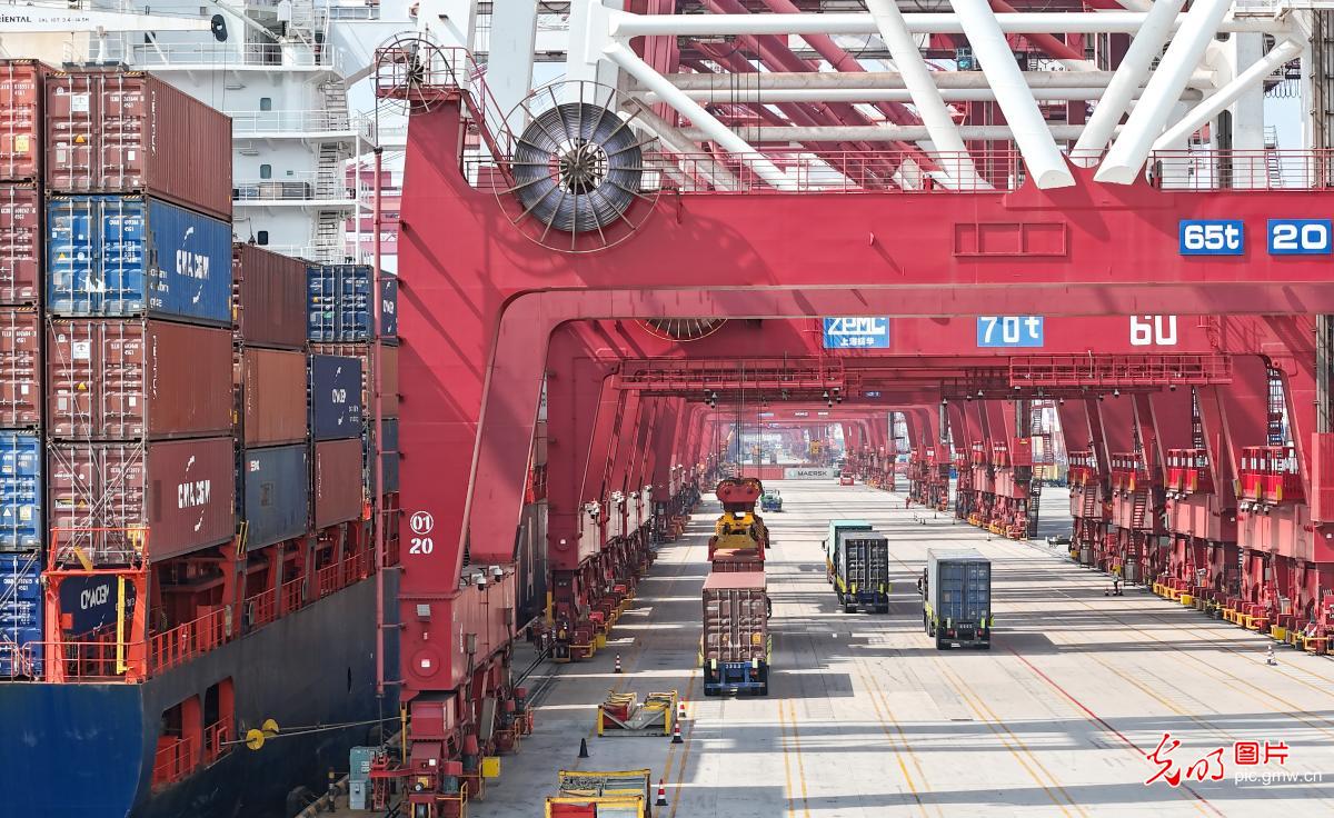 山东港口青岛港已开通11条非洲航线