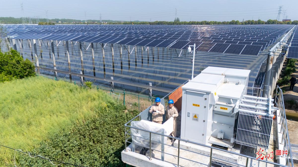 “渔光互补”助推绿色发展